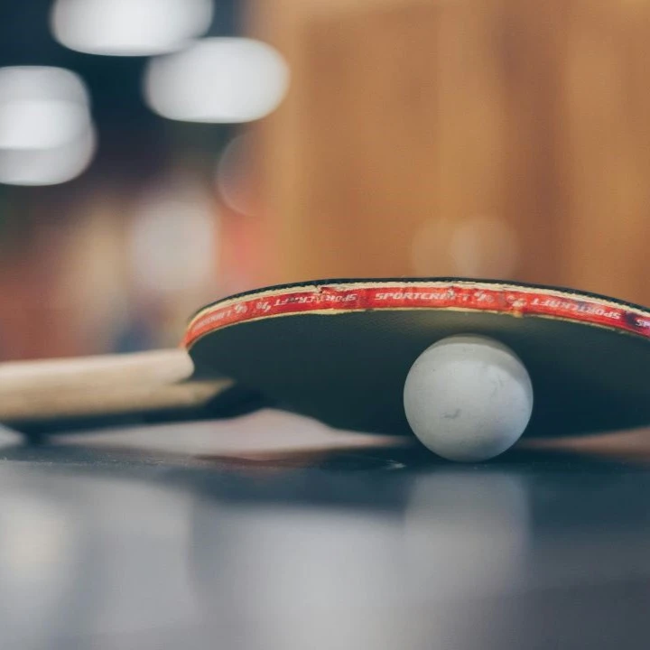 Table tennis: paddle and ping pong ball